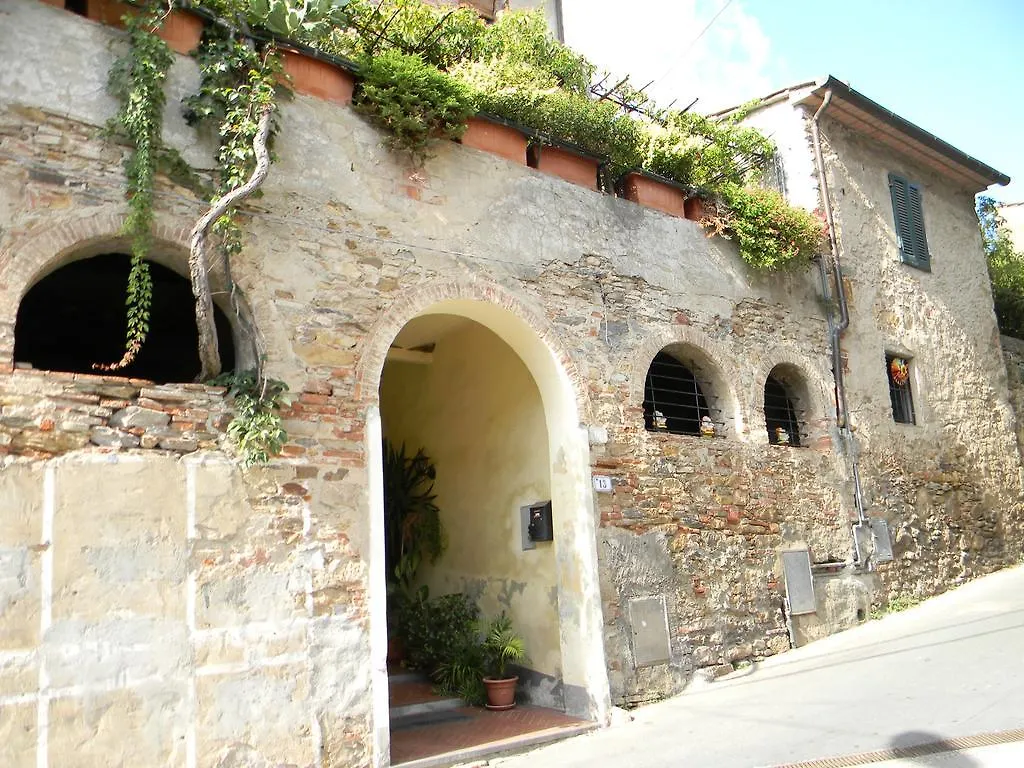 Casa David Holiday home Calci