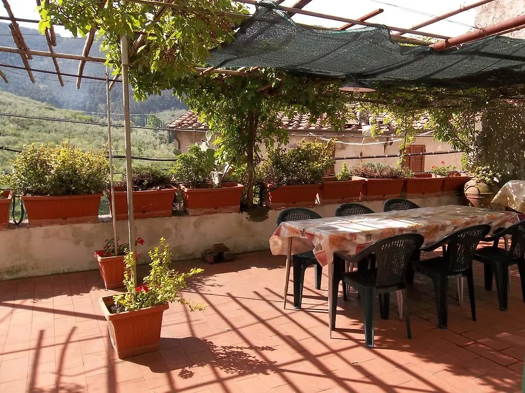 Casa David Holiday home Calci